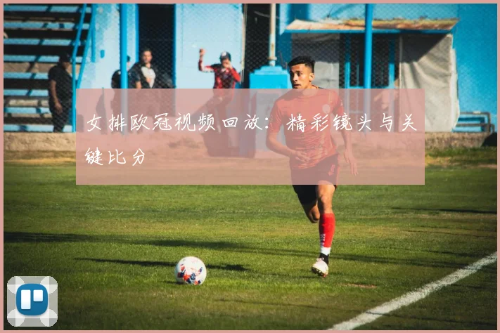 女排欧冠视频回放：精彩镜头与关键比分