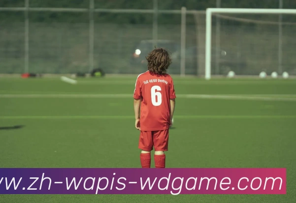 问鼎娱乐平台生态图