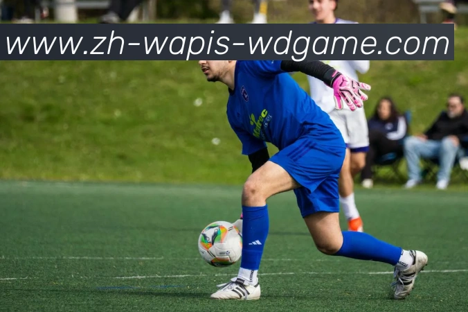 辅助工具 辅助工具